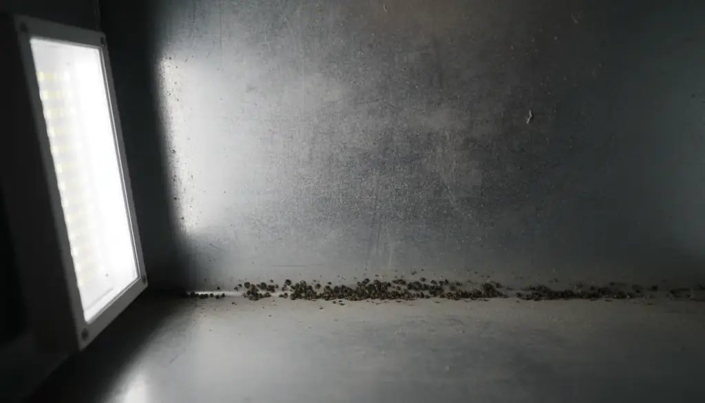 Inside a galvanized supply plenum, a dust film and dark debris gathered along the lower seam under a work light